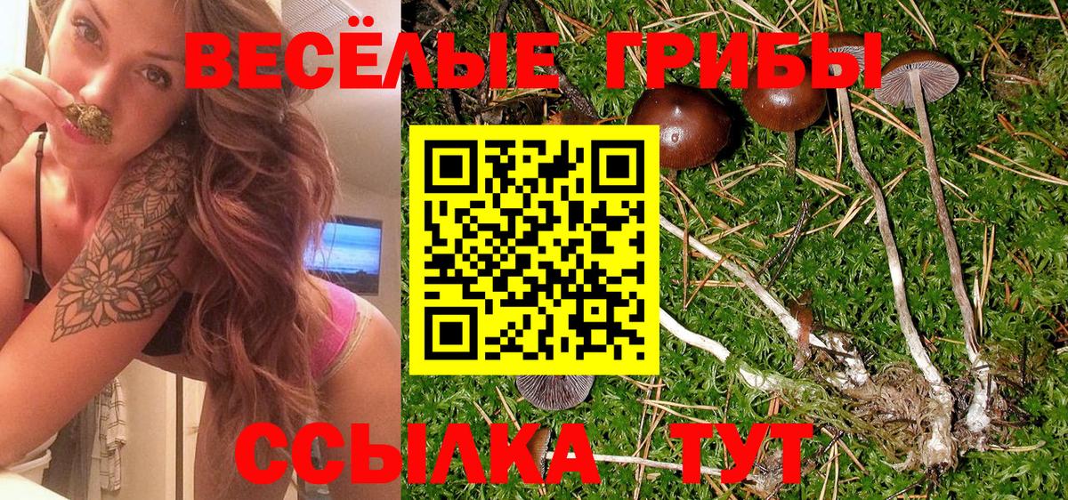 Первоуральск  Псилоцибиновые грибы Psilocybine cubensis  Вход с VPN 